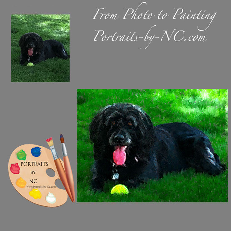 Labradoodle Dog Portrait from Photo 476