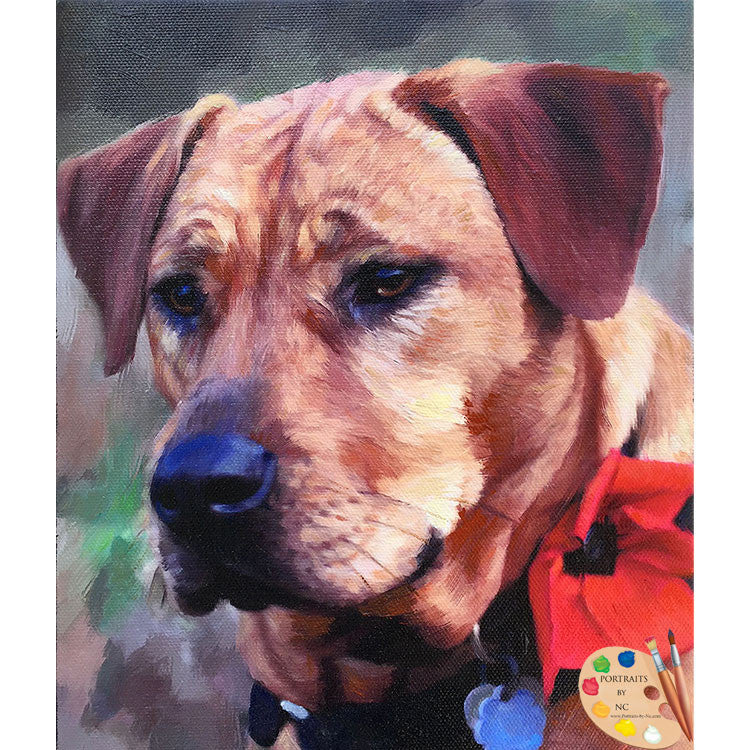 Labrador Painting 498
