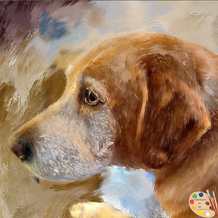 Labrador Pet Portrait 391