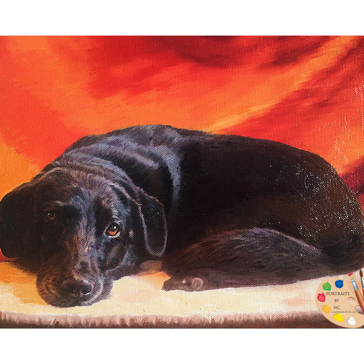 Black Labrador Portrait 439 - Portraits by NC