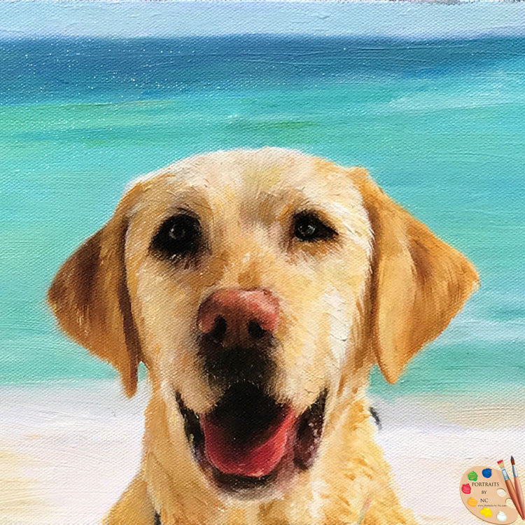 Labrador at Beach Portrait