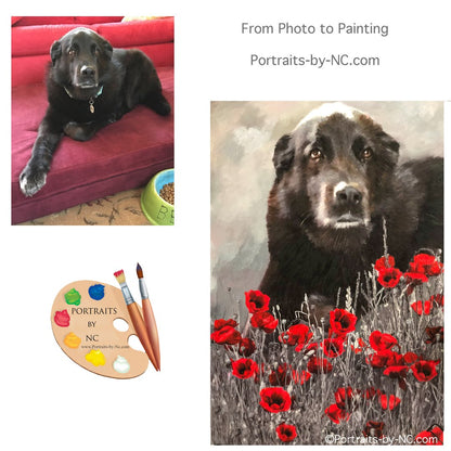 Schokoladen-Labrador im Mohn-Blumen-Feld-Hundeporträt