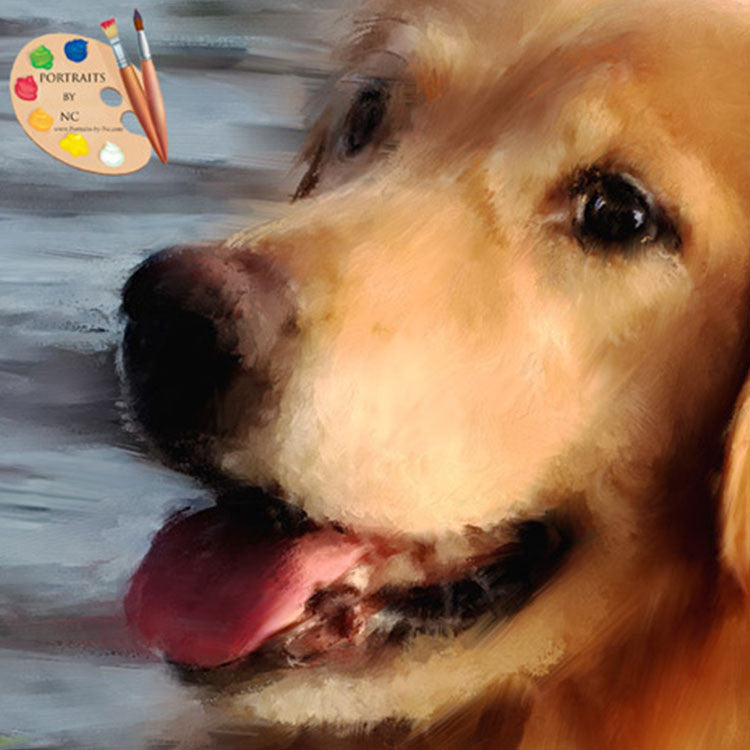 Labrador Retriever Dog Portrait Detail 370