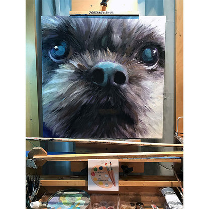 Large Shih Tzu Dog Portrait 564 - Portraits by NC
