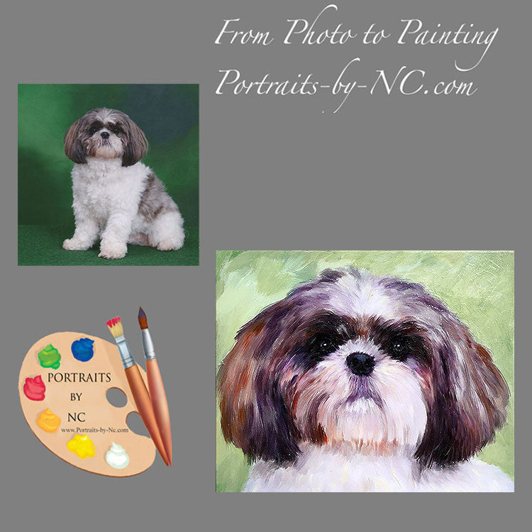 Lhasa Apso Dog Portrait 494 - Portraits by NC