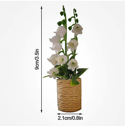 lily-of-the-valley-size