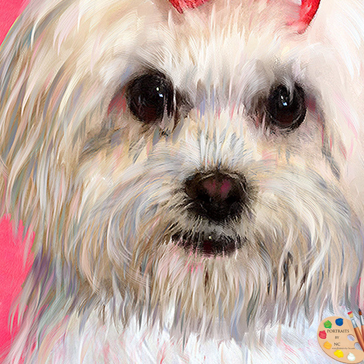 Maltese Dog Portrait 325 - Portraits by NC