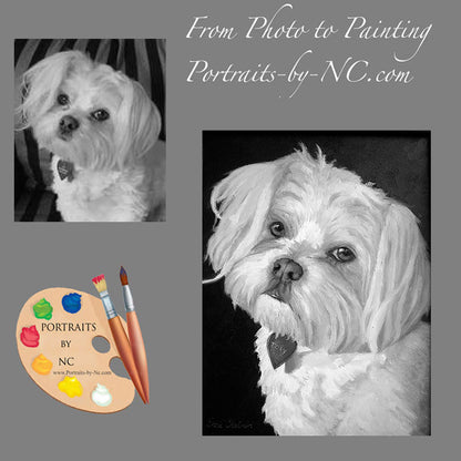 Maltese Pet Portrait 85 - Portraits by NC
