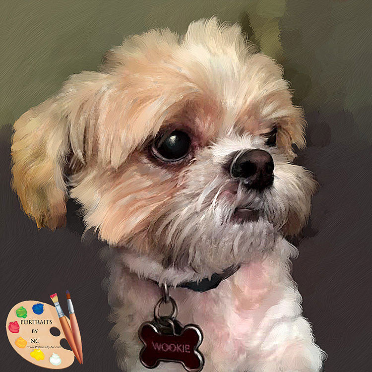 Maltese Dog Portrait 466 - Portraits by NC