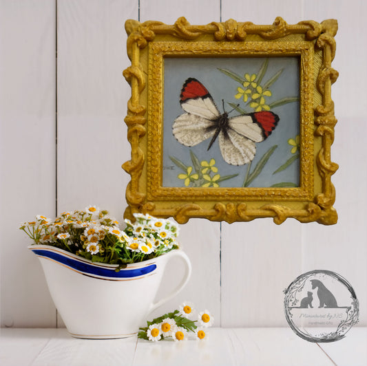 Dollhouse Frame with Butterfly print