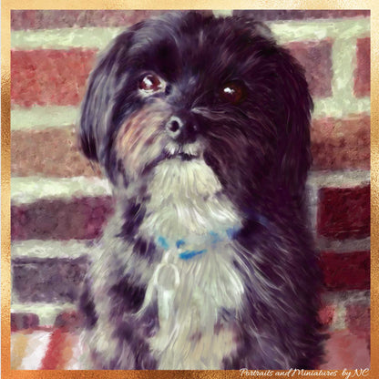 Morkie Digital Portrait