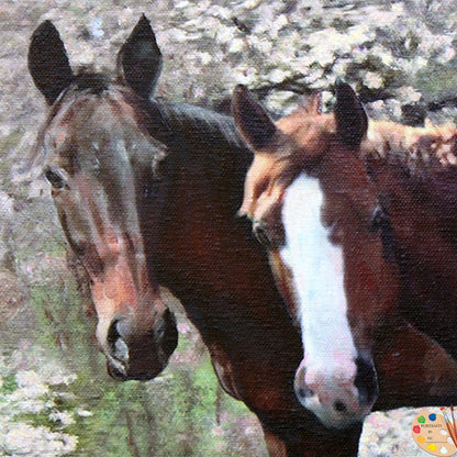 Horse Portrait Horses in Cherry Tree Grove 361