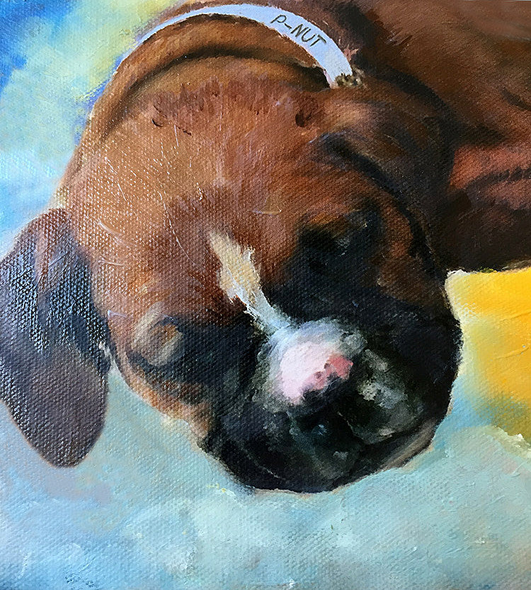 Boxer Puppy Oil Portrait