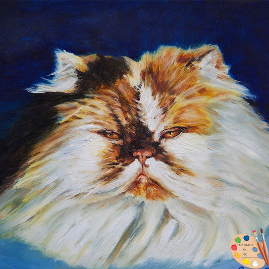Persian Cat Portrait 187