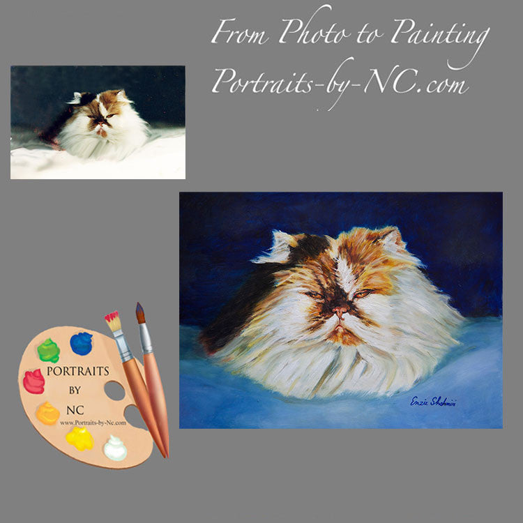 Persian Cat Portrait from Photo 187