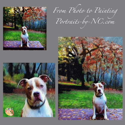 Pit Bull Dog Portrait from Photo 348