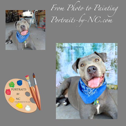 Pit Bull Portrait from Photo 353
