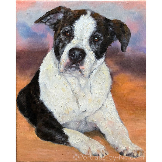 Pitbull Puppy Oil Portrait