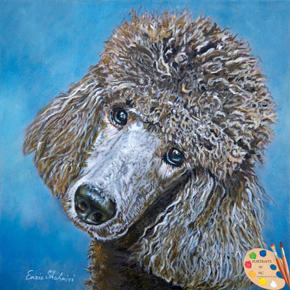 poodle-dog-portrait-199