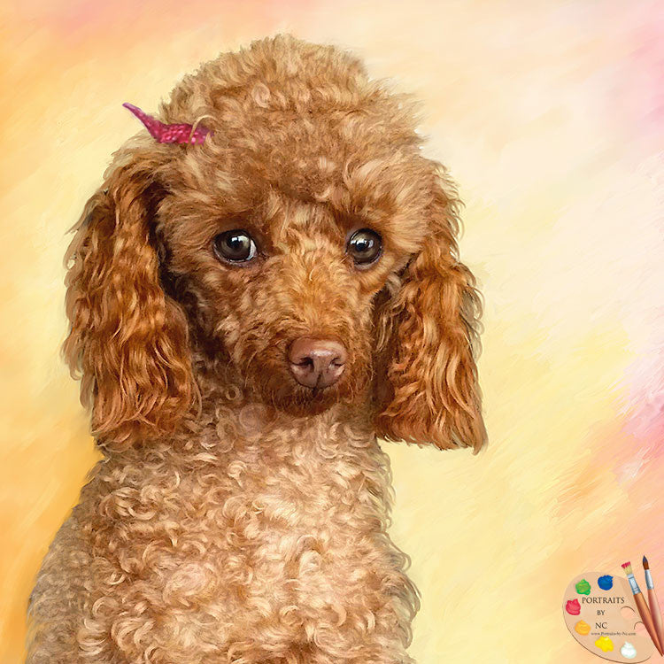 Poodle Dog Portrait 444