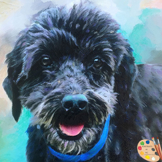 Poodle Dog Portrait 464