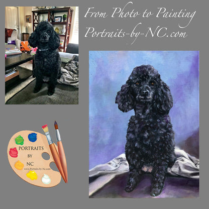Black Poodle Dog Portrait 531 - Portraits by NC