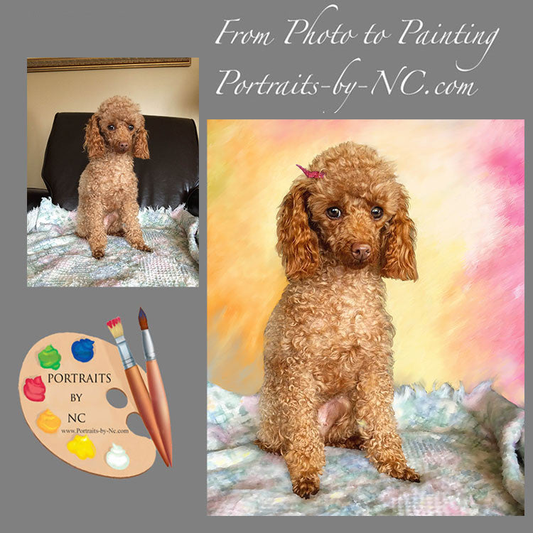 Poodle Dog Portrait from Photo 444