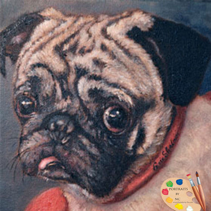 Pug Dog Portrait Pugsy 131
