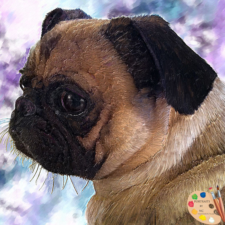 Pug Dog Portrait 382