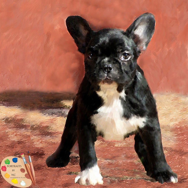 Pug Dog Portrait 380