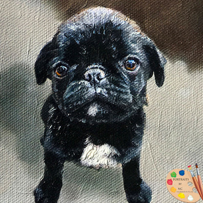 Pug Puppy Dog Portrait 539