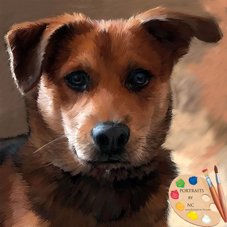 Puppy Portrait 620