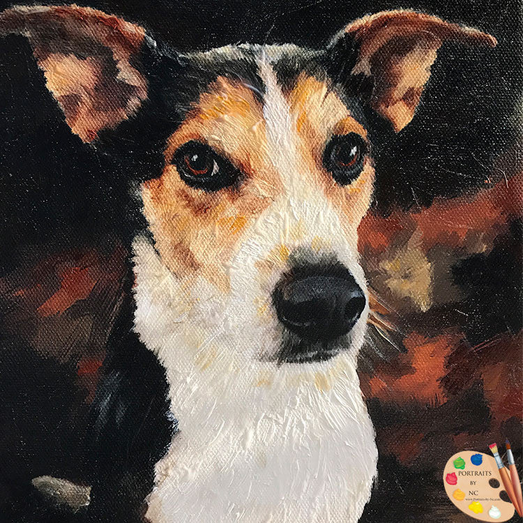 Rat Terrier Dog Portrait 493