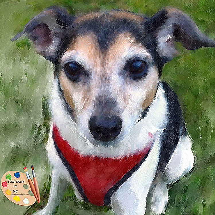 Rat Terrier Portrait 392
