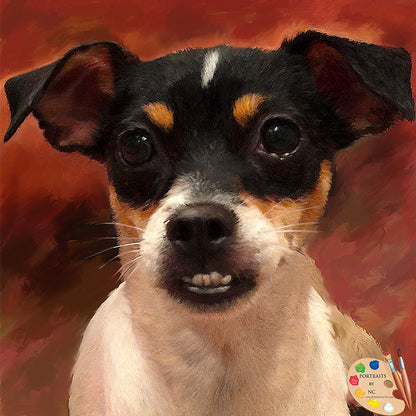 Rat Terrier Dog Portrait 481