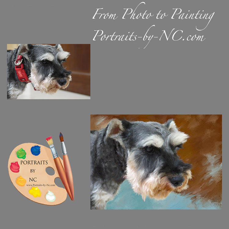 Schnauzer Dog Portrait from Photo 323