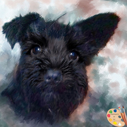 schnauzer-puppy-portrait-236