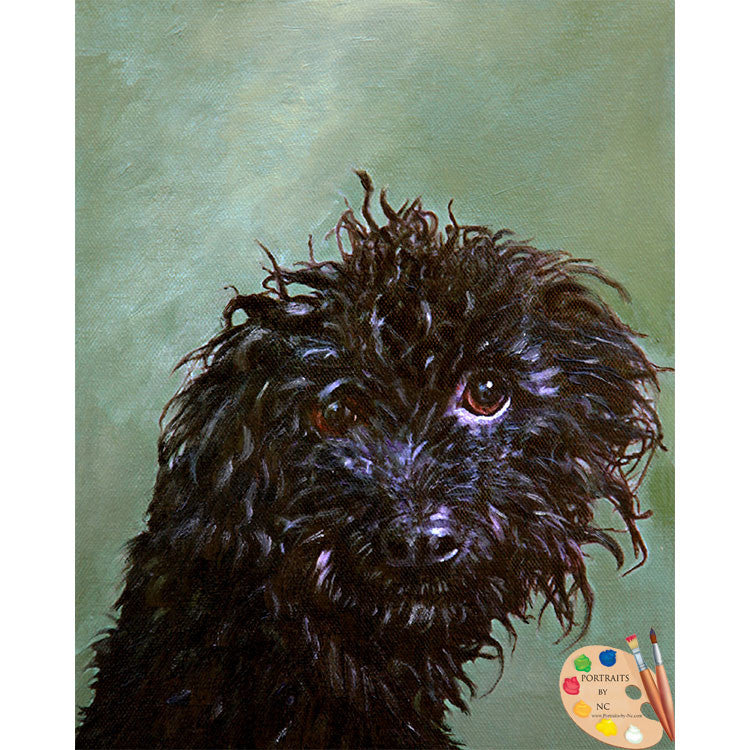 Schnoodle Dog Painting 442