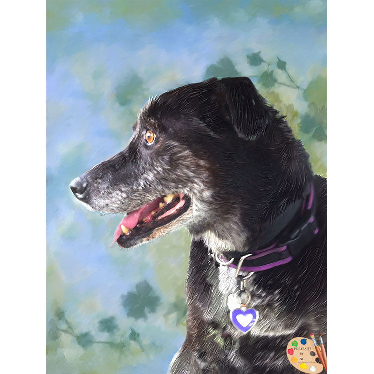Old Dog Portrait 362 - Portraits by NC