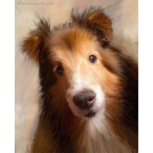 Portrait numérique de chien Sheltie personnalisé