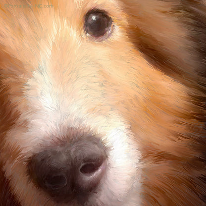 Custom Sheltie Dog Digital Portrait