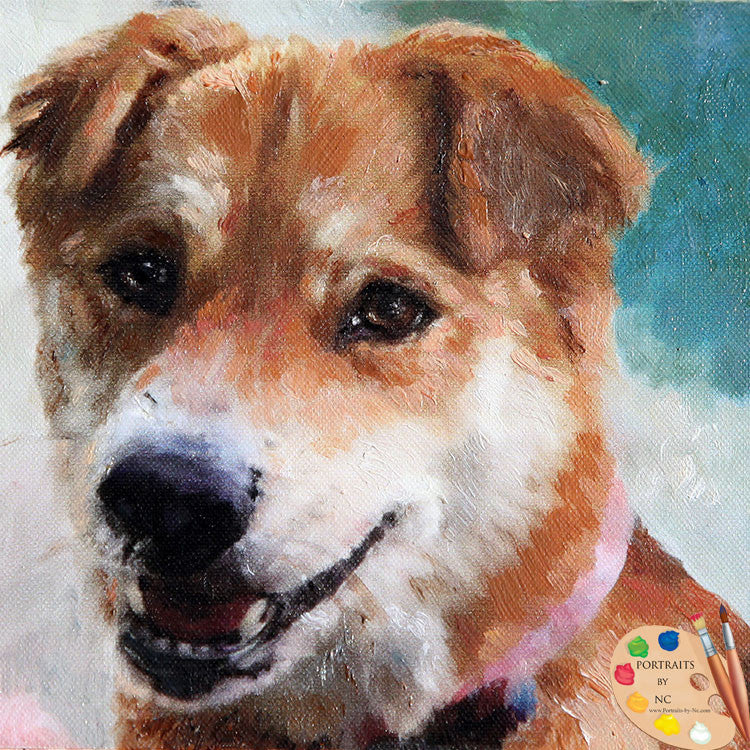 Shibu Inu Dog Portrait 524