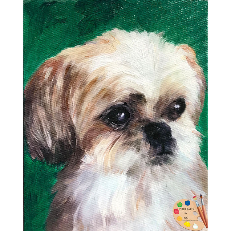 Shih Tzu Dog Painting 504