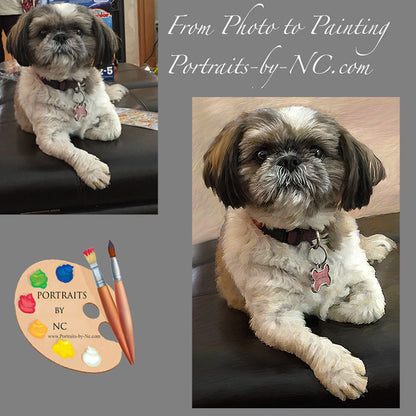 Shih Tzu portrait painting from photo