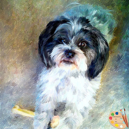 Shih Tzu Dog Portrait 501