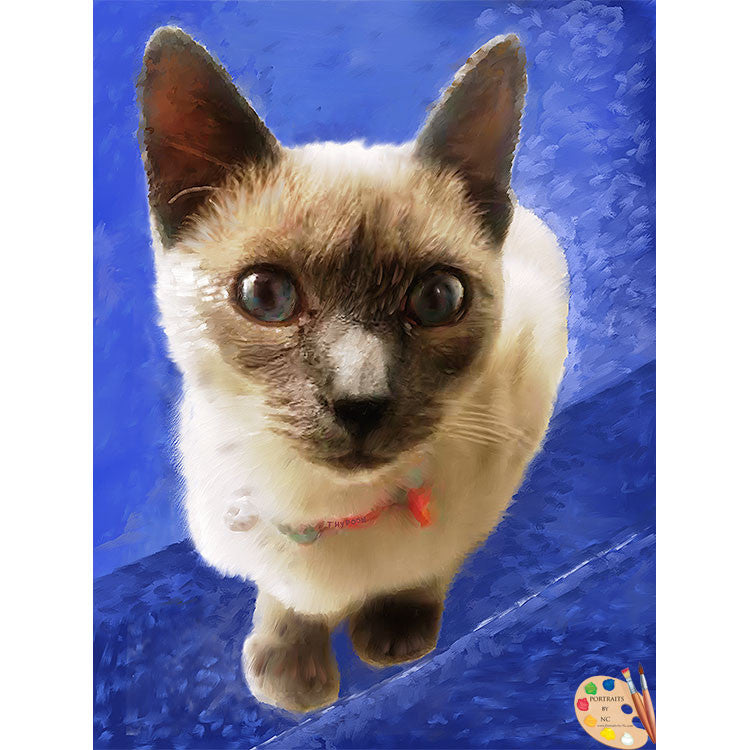 Siamese Cat Painting 366
