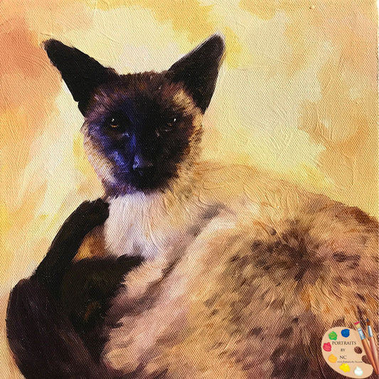 Siamese Cat Portrait 516
