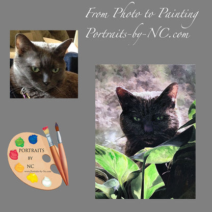 Cat Portrait 490 - Portraits by NC