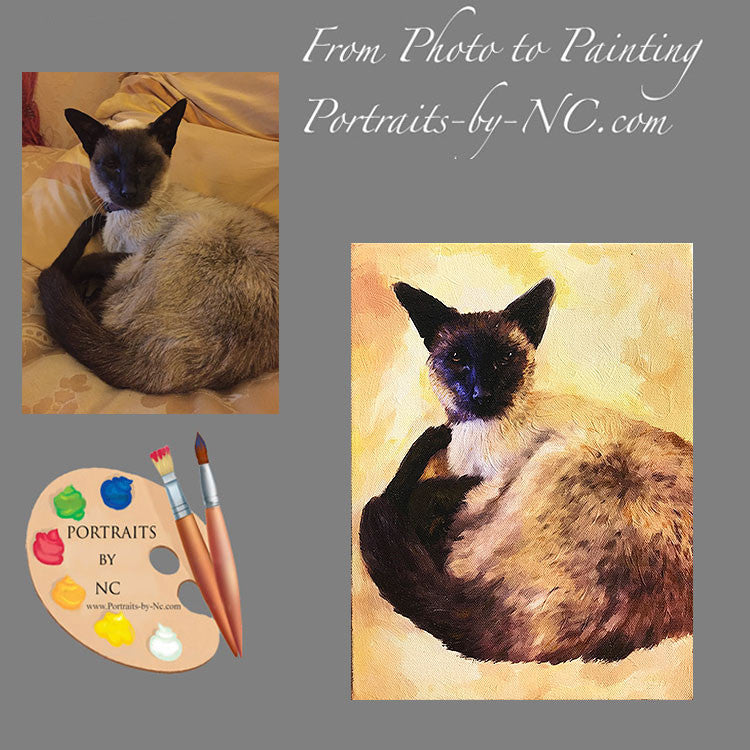 Siamese Cat Portrait from Photo 516