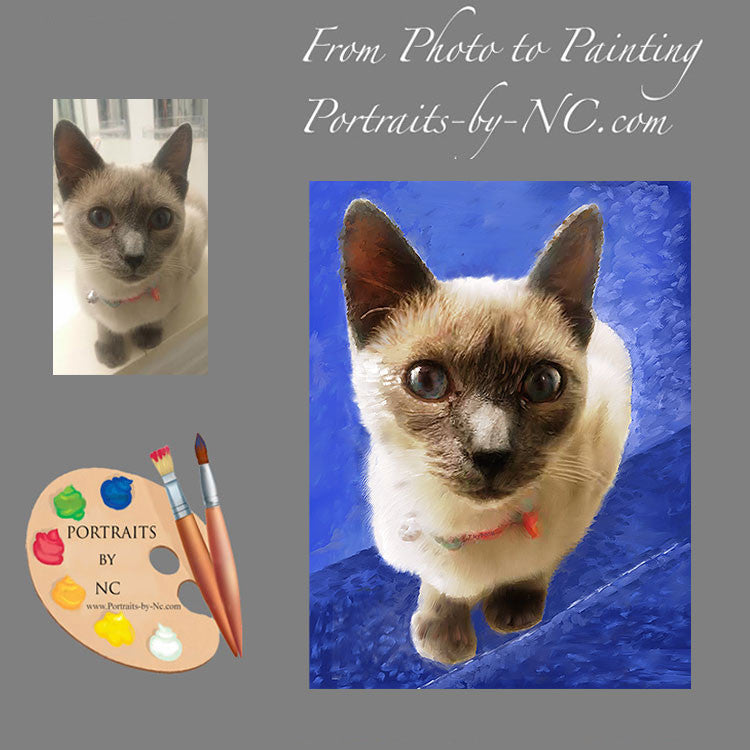 Siamese Cat Portrait from Photo 366